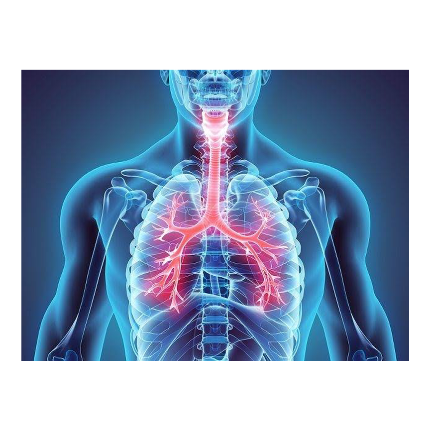 VIAS RESPIRATORIAS